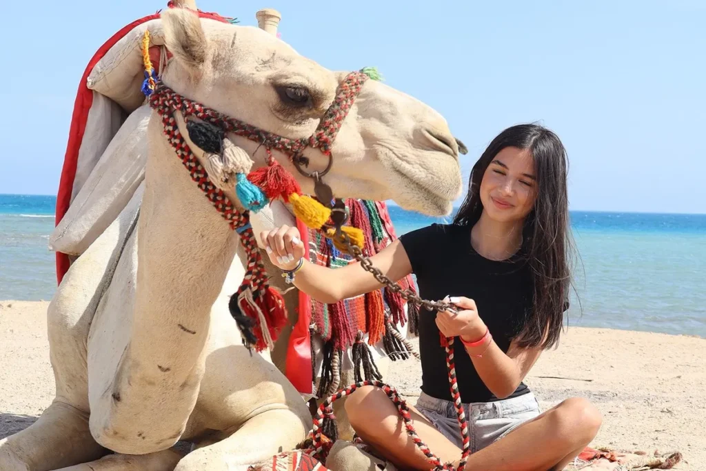 Camel Riding