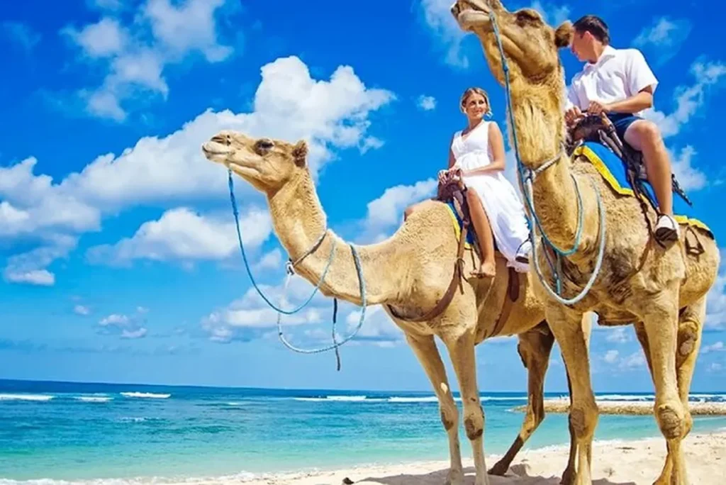 Camel Riding Hurghada
