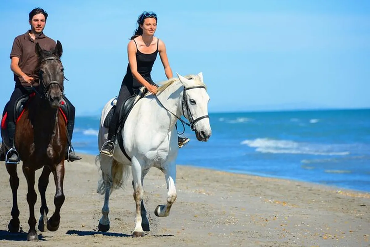 Horse Riding Hurghada