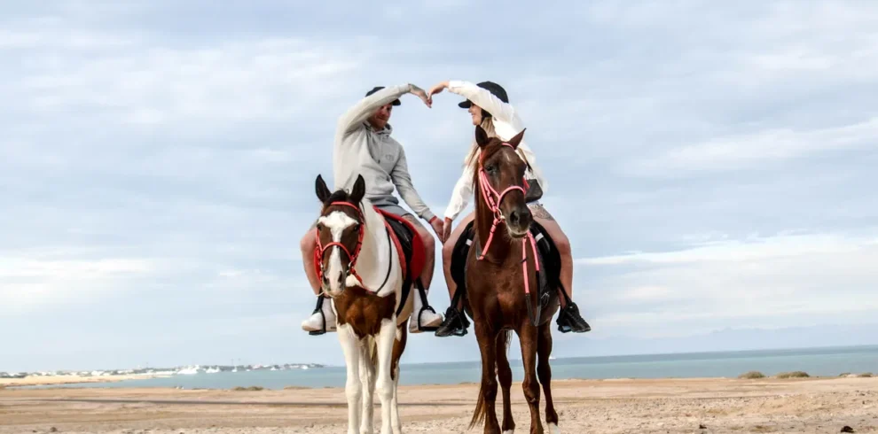 Beach Horse Riding Hurghada