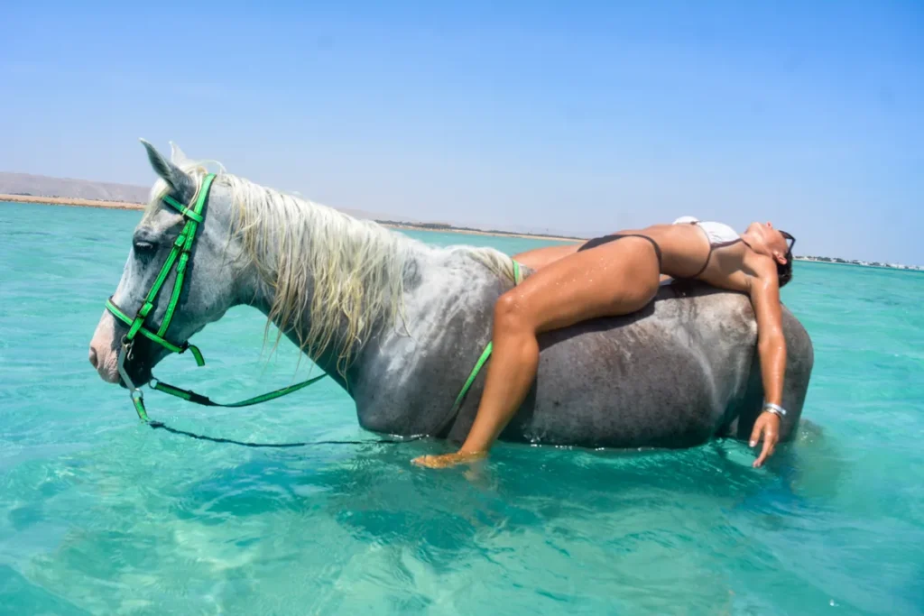 Hurghada Horse Riding Beach Price