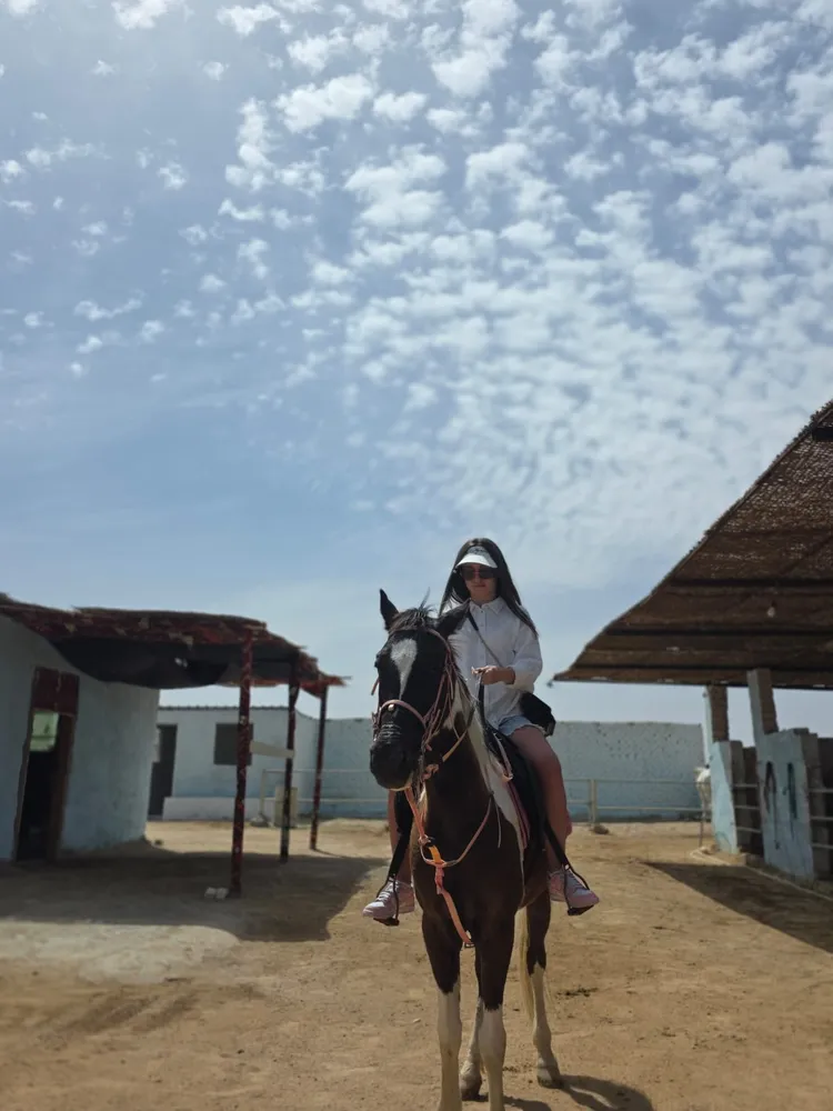 Excursions in Egypt Hurghada