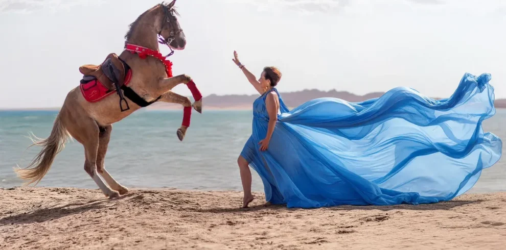 sunny horse stable hurghada