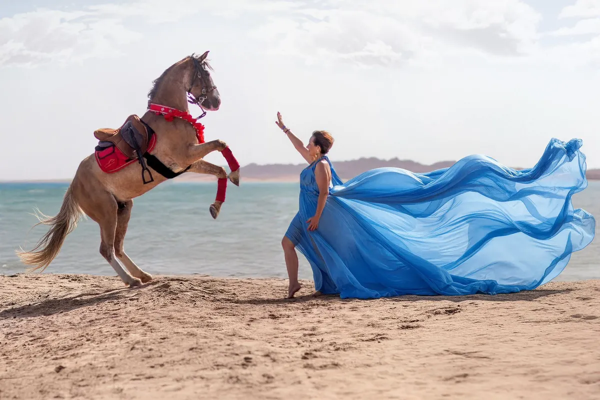 sunny horse stable hurghada