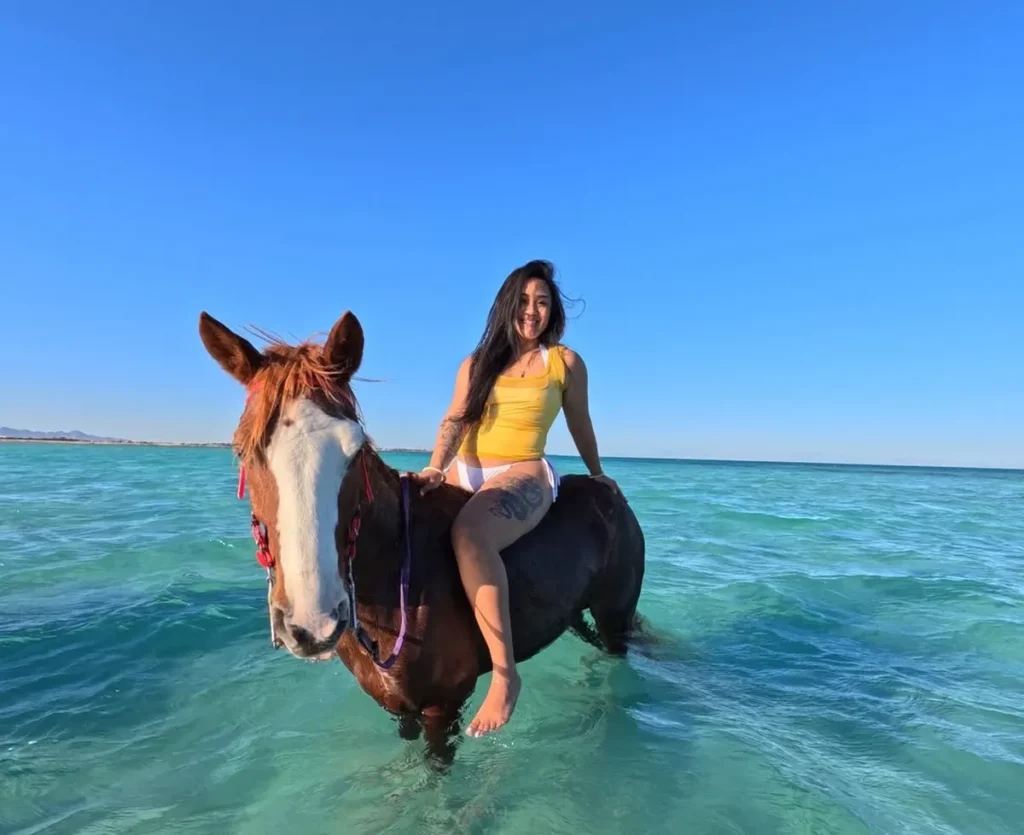 hurghada horse tour