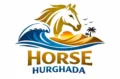 Horse riding tours in Hurghada