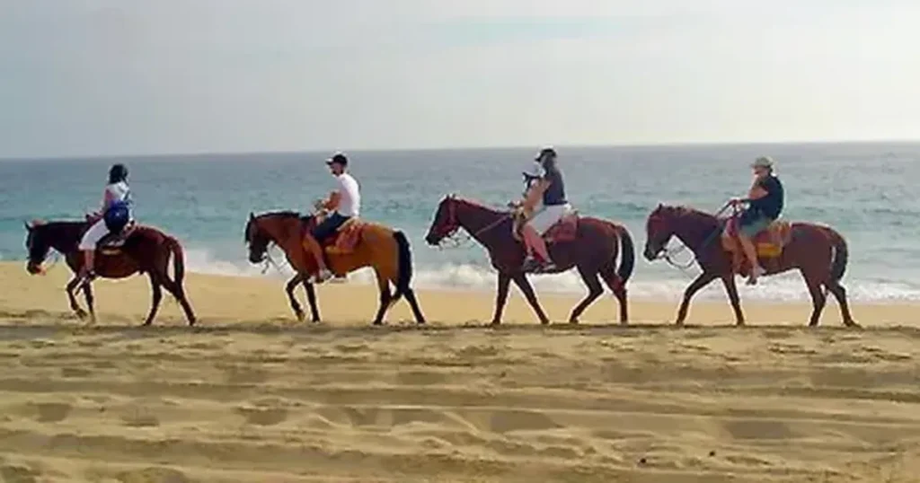 Hurghada horse riding beach
