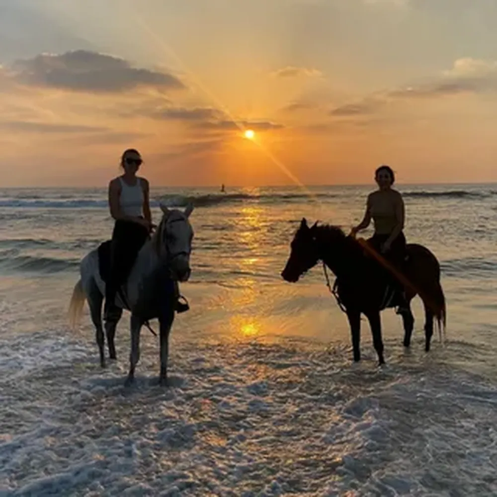 Sunset Horse Riding in Hurghada