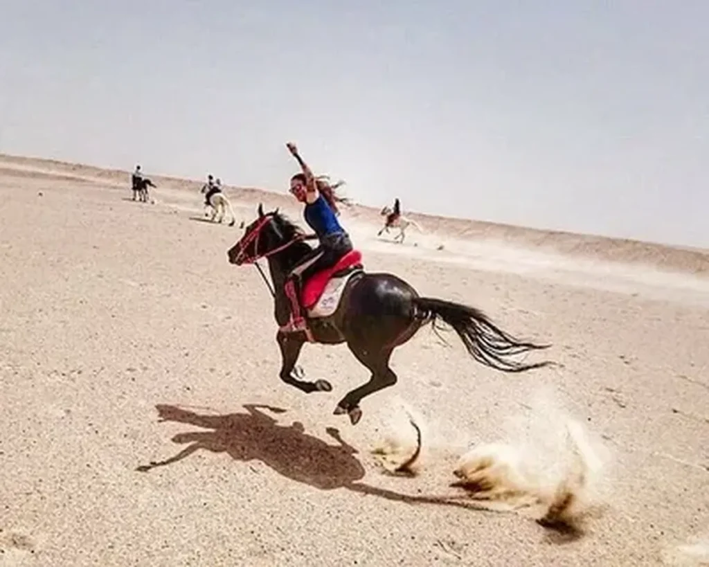 desert horse riding hurghada