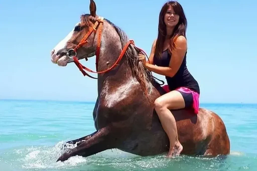 Horse Riding Hurghada