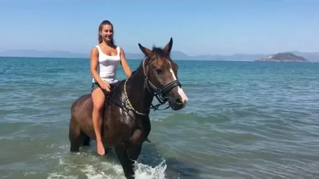 Swimming with Horses Hurghada