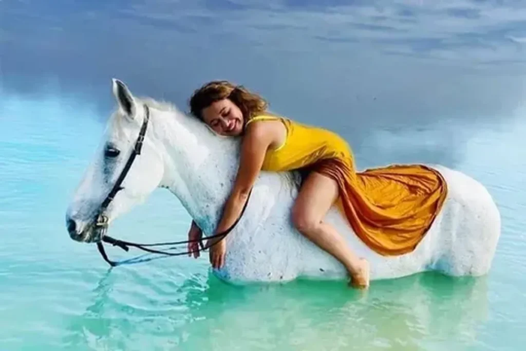 Sunny Horse Stable Hurghada