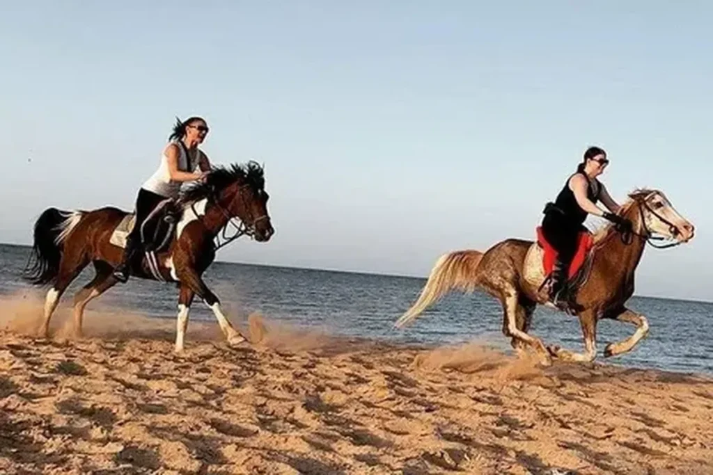 Excursions in Egypt Hurghada