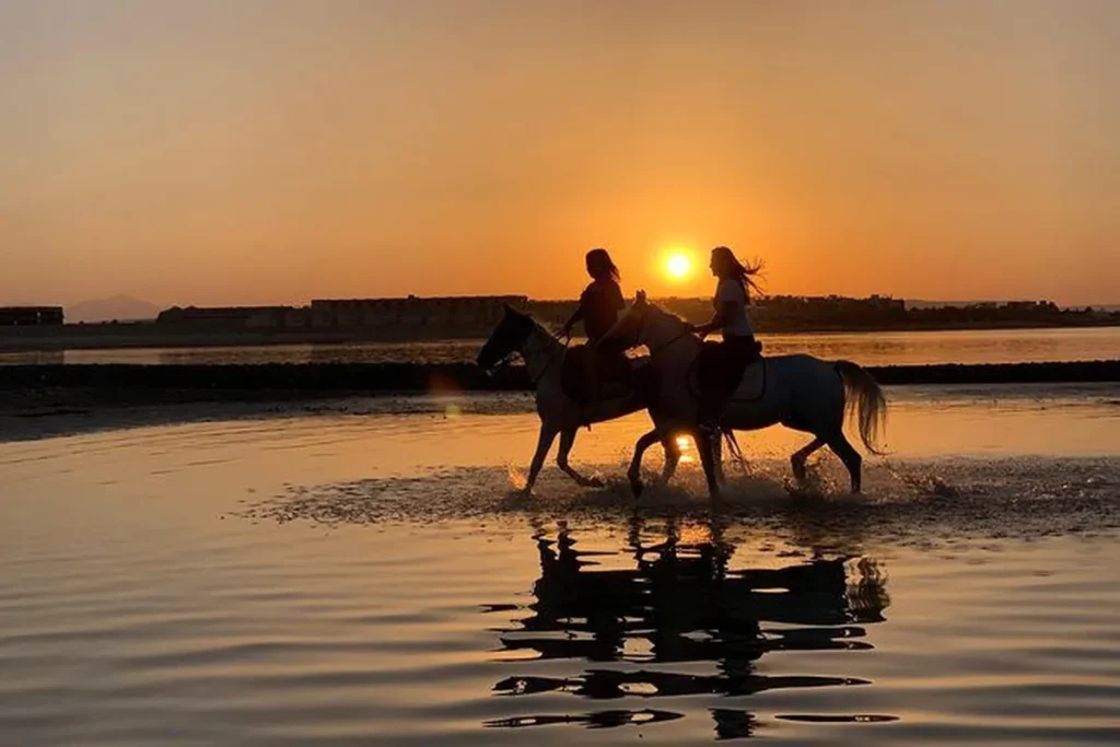 Best Horse Riding Tours in Hurghada