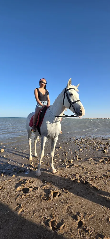 Horse Riding Hurghada