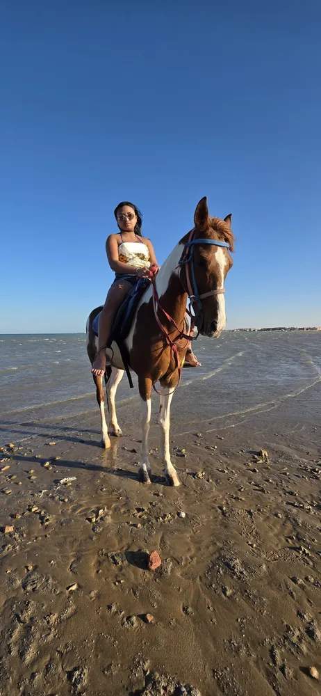 Cheap horse riding Hurghada