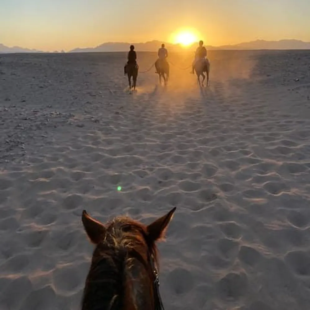 Hurghada Horse Riding Beach Price