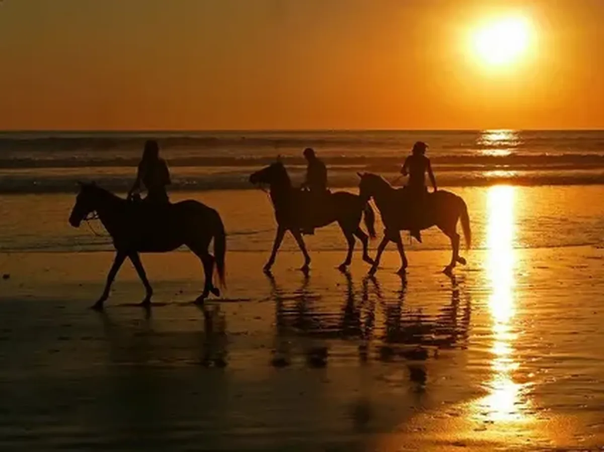 Horse Riding in Hurghada | Best Beach & Sunrise Horse Tour