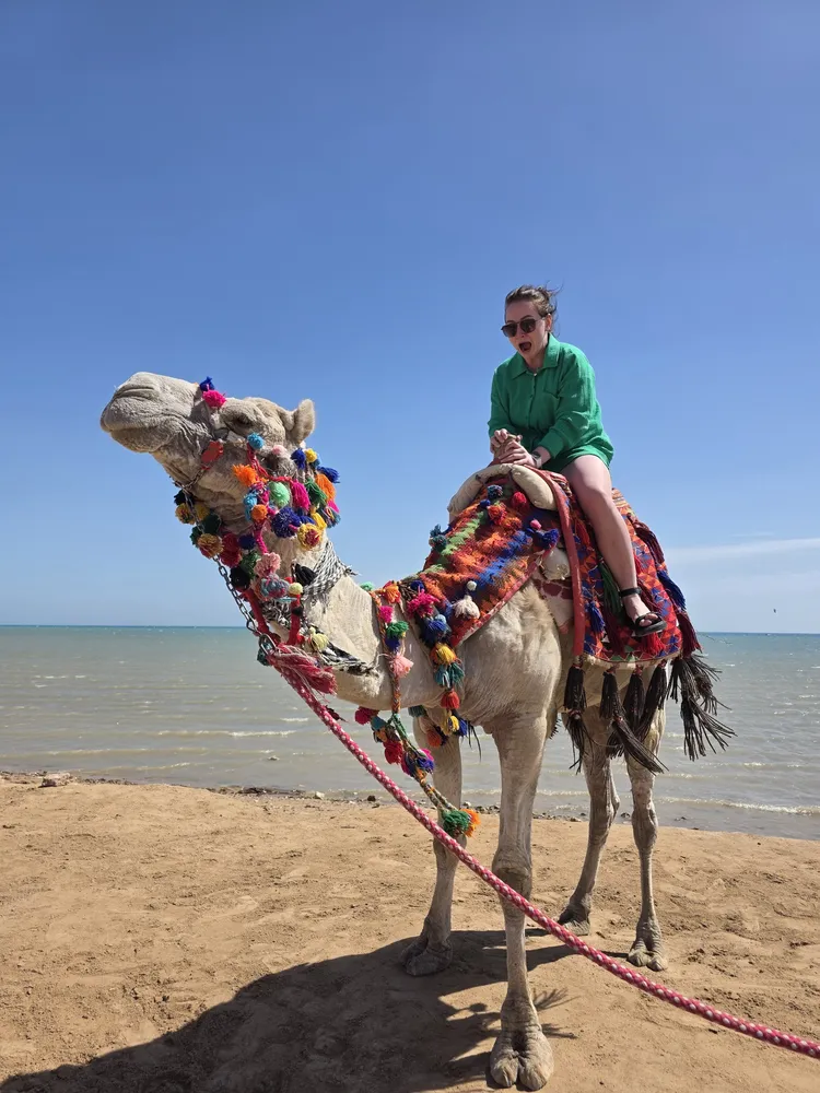 Can You Ride Camels in Egypt? Prices, Tips & Best Places