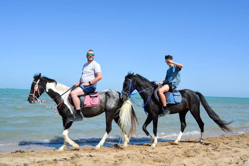 top Hurghada horseback riding