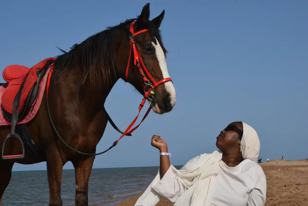 horseback riding hurghada