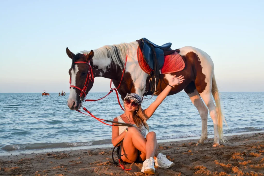 top Hurghada horseback riding