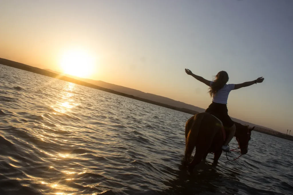 Horse Riding