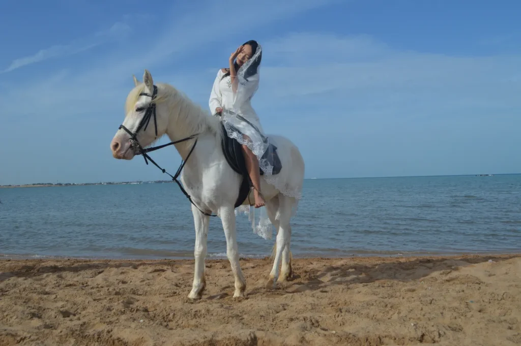 Why Choose Horse Riding in Hurghada