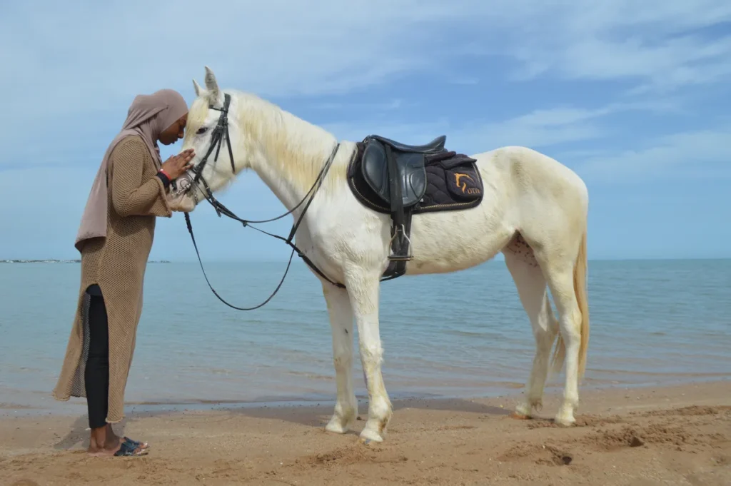 Horse Riding