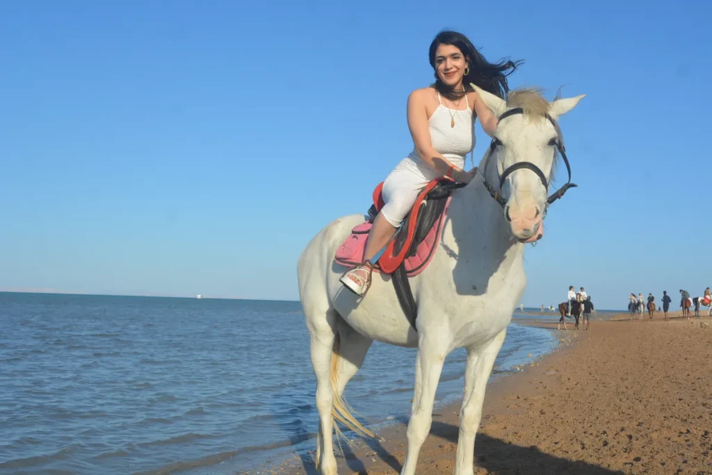 Horse Riding Near Me