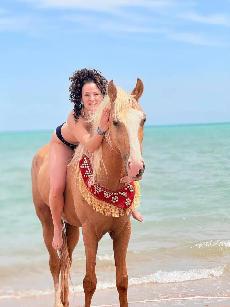 Horse Swimming