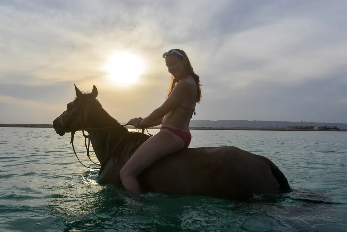 Horse & Camel Riding in Hurghada | Best Desert & Beach Tours 2026