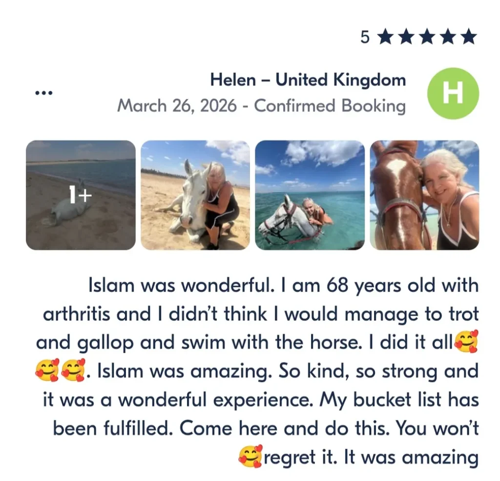 Private Horse Riding Hurghad 