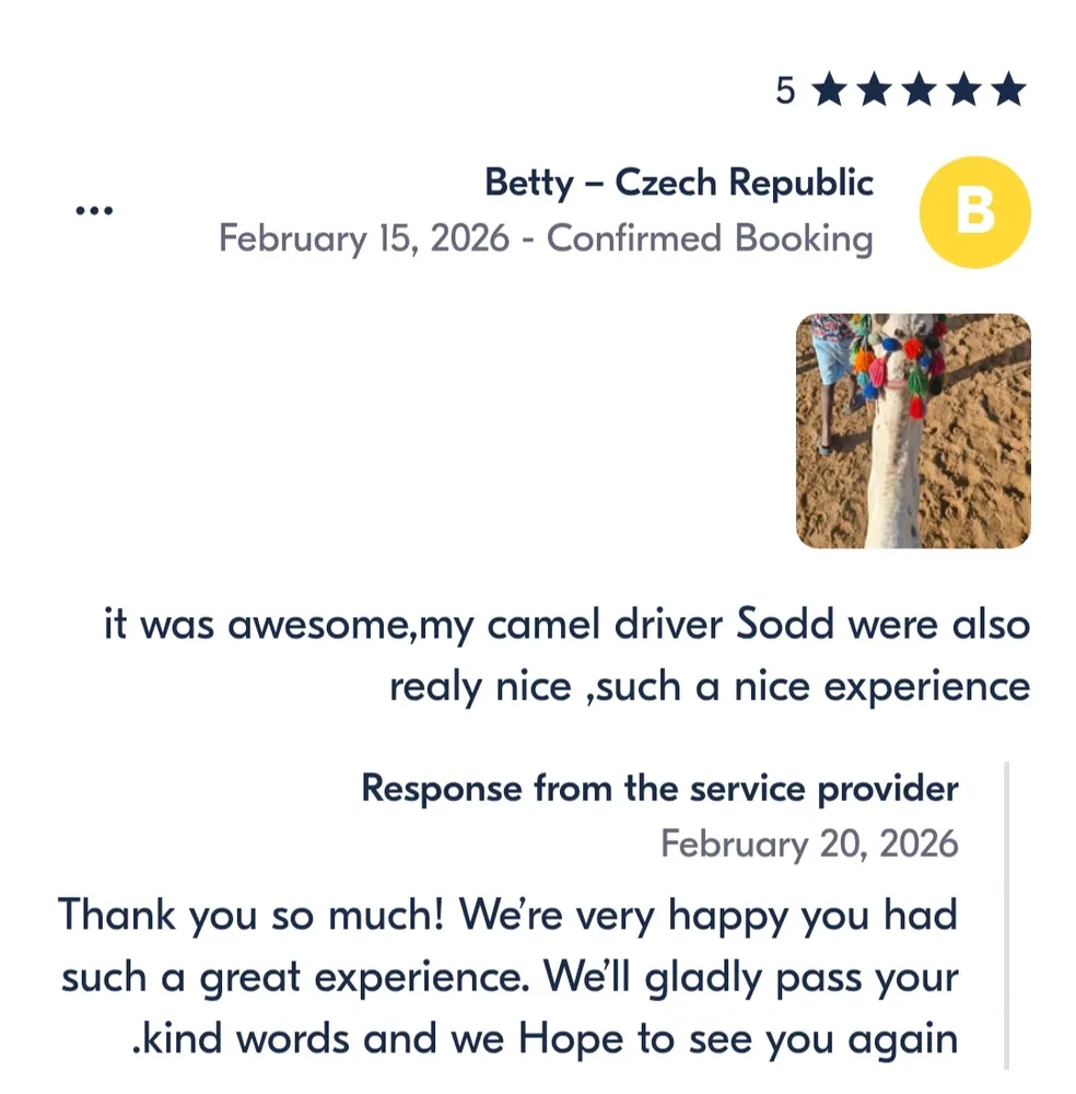 Camel Riding in hurghada