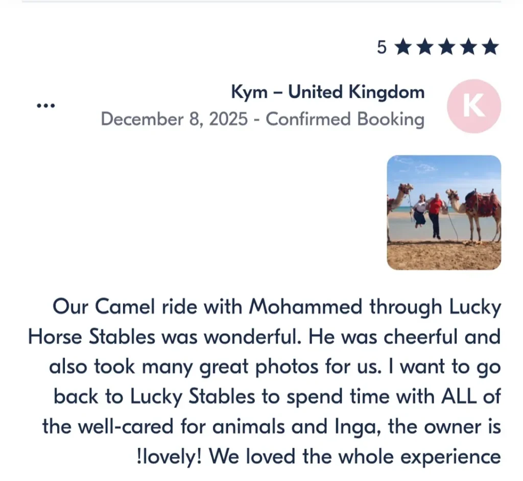 Camel Riding in hurghada