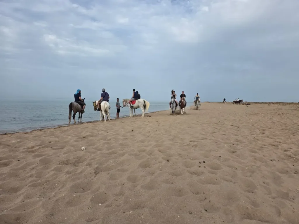 Best Horse Riding Experience in Hurghada