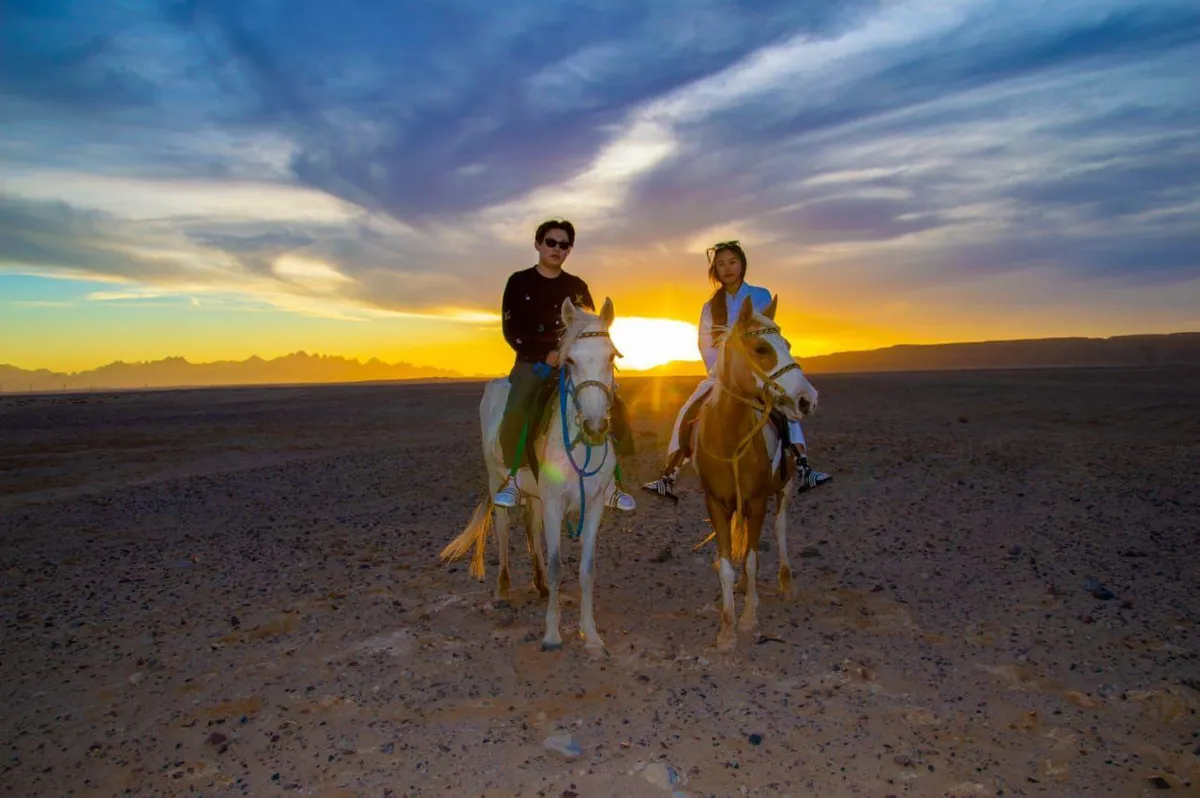 Horse Riding Hurghada