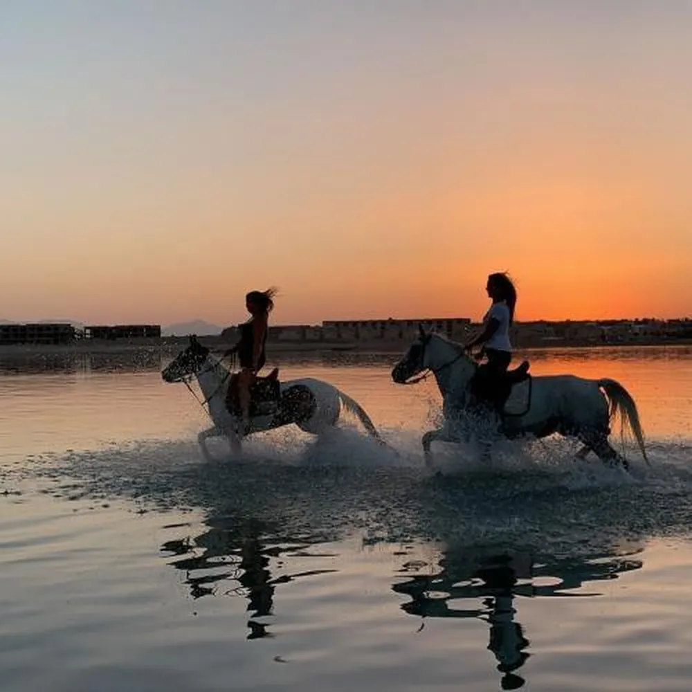 Horse & Camel Riding in Hurghada | Best Desert & Beach Tours 2026