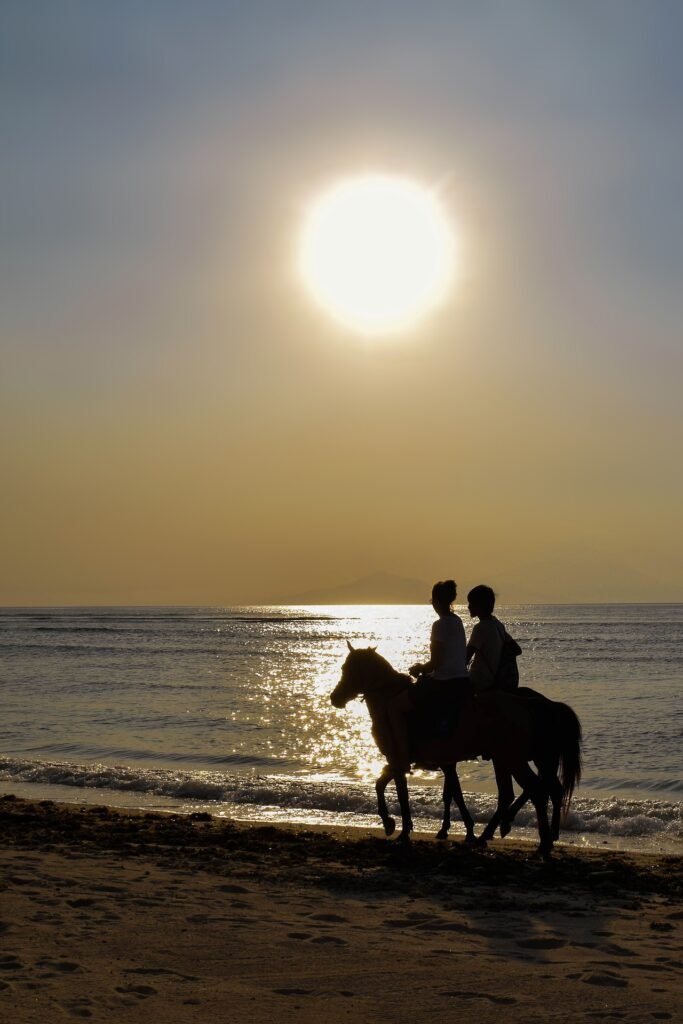 Hurghada Horse Riding Beach Price