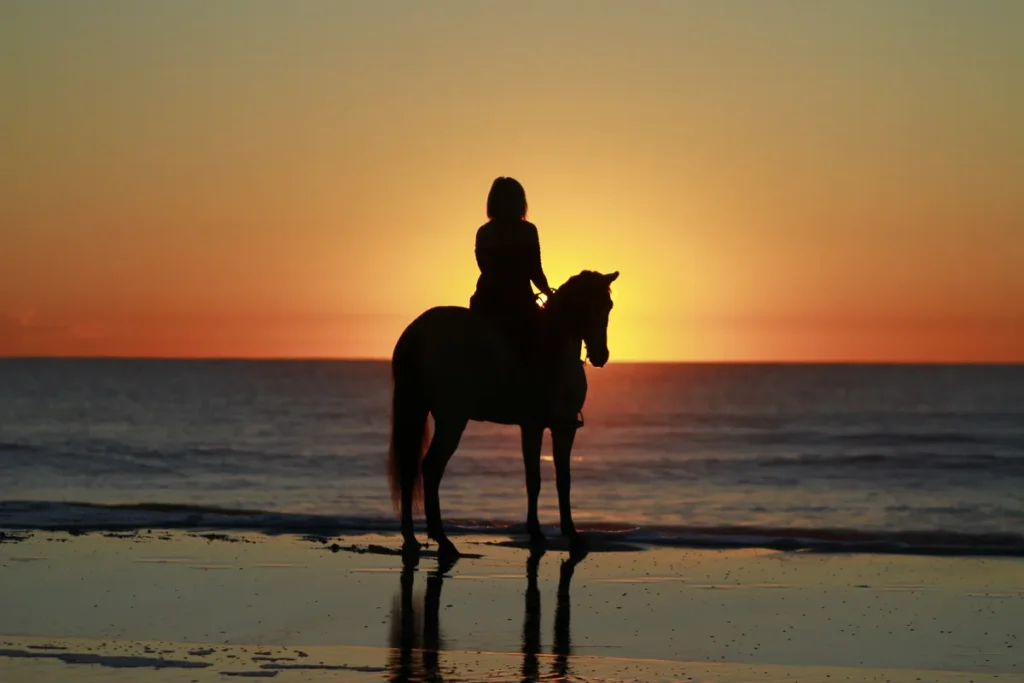 Sunrise Horse Riding in Hurghada